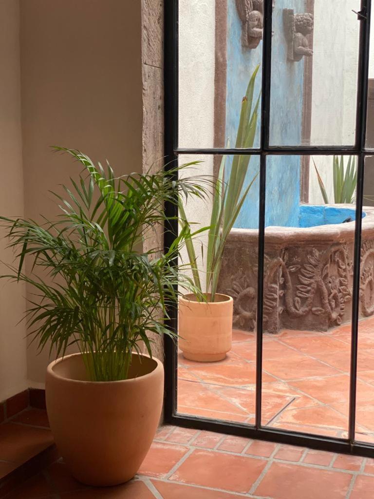 Hotel Casa Laberinto San Miguel de Allende Exteriér fotografie